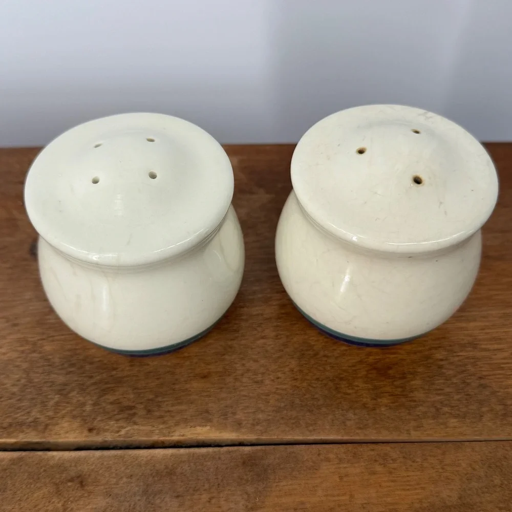 Pfaltzgraff Northwinds‎ Salt Pepper Shakers VTG 90s Blue Green Farmhouse Cottage